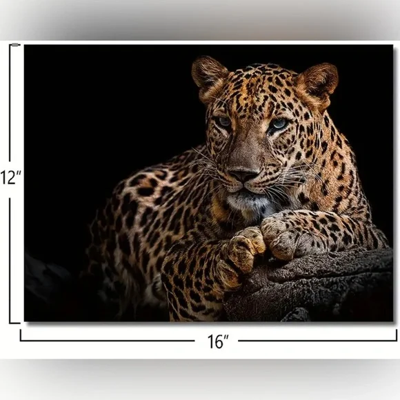 Leopard Wall Art Handcrafted Canvas Oil Painting 12X16 - Picture 3 of 4